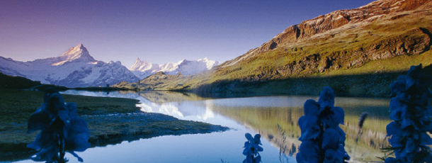 バッハアルプゼー