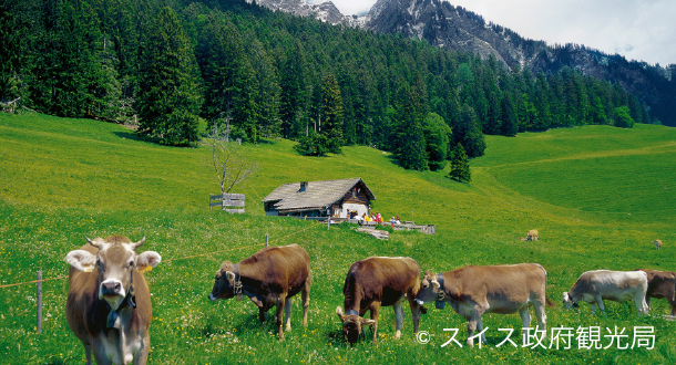 ハイジの村　マイエンフェルト