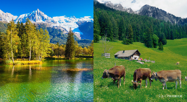 マイエンフェルト フランス領シャモニー