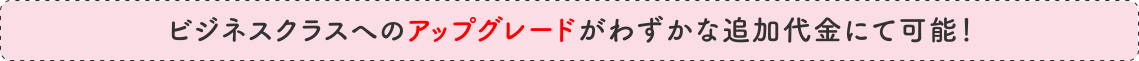 ビジネスクラスへのアップグレードがわずかな追加代金にて可能！