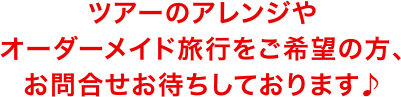 ツアーのアレンジやオーダーメイド旅行をご希望の方、お問い合わせお待ちしております。