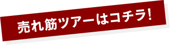 売れ筋のツアーはコチラ！