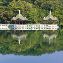 台湾の西湖と呼ばれる花の名所澄清湖
