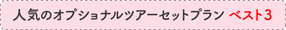 人気のオプショナルツアーセットプランベスト3
