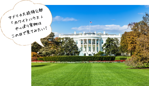 ワシントンD.C.市内観光