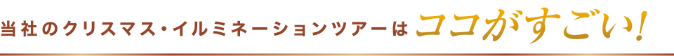 当社のクリスマス・イルミネーションツアーはココがすごい!