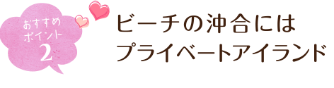 おすすめポイント2 ビーチの沖合にはプライベートアイランド