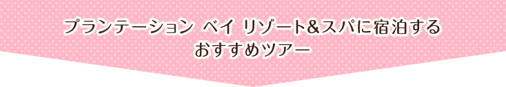 プランテーション ベイ リゾート&スパに宿泊するおすすめツアー