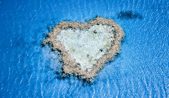 幸せの象徴と言われる珊瑚礁！「ハートリーフ」