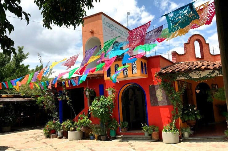 アスセナ・サポテカ(Azucena-Zapoteca)