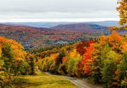 メープル街道／イメージ