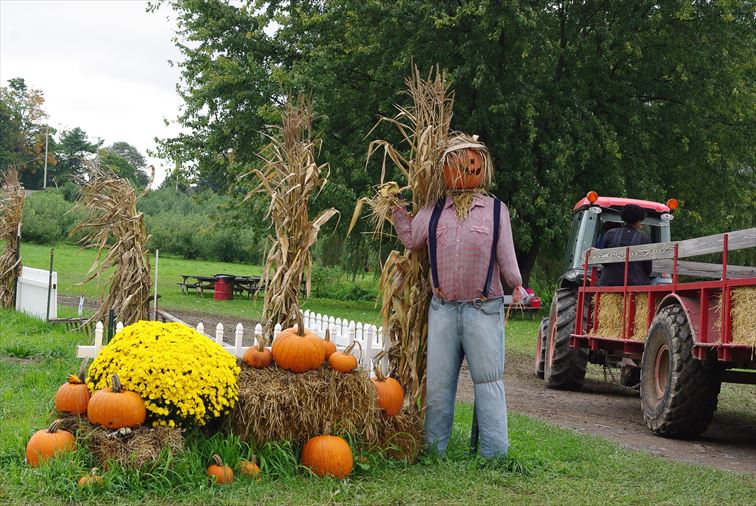 ニューヨーク最大のハロウィン・パレードに参加してみませんか？