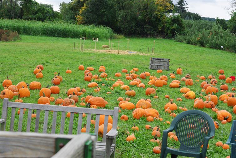 ご家族連れにおすすめのハロウィンイベントもあります