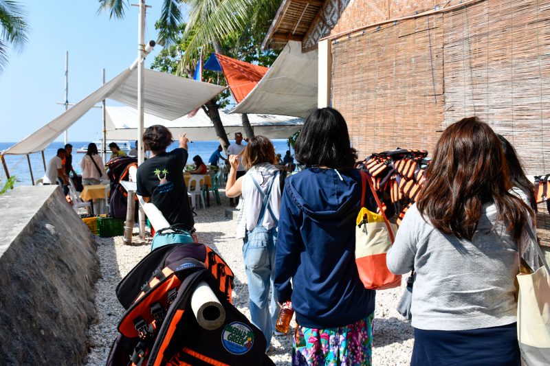 whalwshark watching in cebu philippines