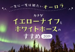 【カナダ】一生に一度は観たいオーロラ！イエローナイフとホワイトホースのすすめ201