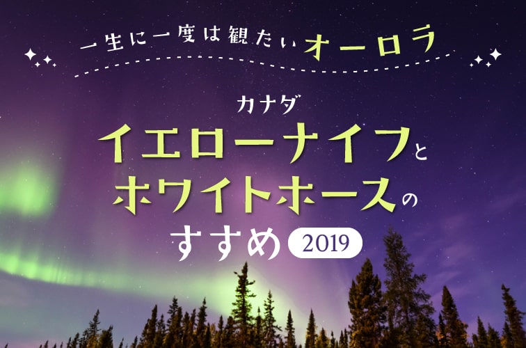 【カナダ】一生に一度は観たいオーロラ！イエローナイフとホワイトホースのすすめ201