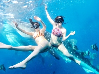 旅行記2 セブ島 ツアー ブログカード用