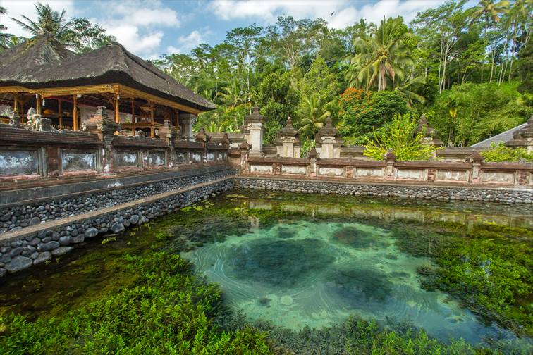 聖なる泉の湧く由緒あるお寺、ティルタエンプル