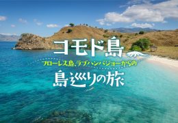コモド島〜フローレス島、ラブハンバジョーからの島巡りの旅 コモド島〜フローレス島、ラブハンバジョーからの島巡りの旅