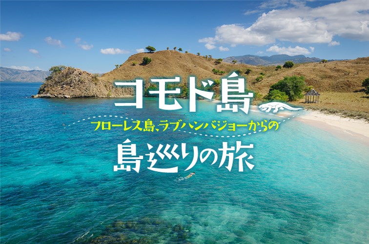 コモド島〜フローレス島、ラブハンバジョーからの島巡りの旅