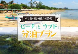 バリ島の違う魅力を満喫！ビーチエリアと熱帯雨林のウブドエリアの2カ所に滞在