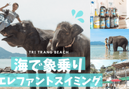 プーケットのビーチで象乗り体験