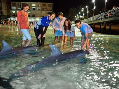 モートン島（3×4）