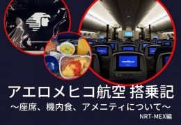 アエロメヒコ航空サービスTOP