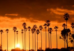 ロサンゼルス（3×4）