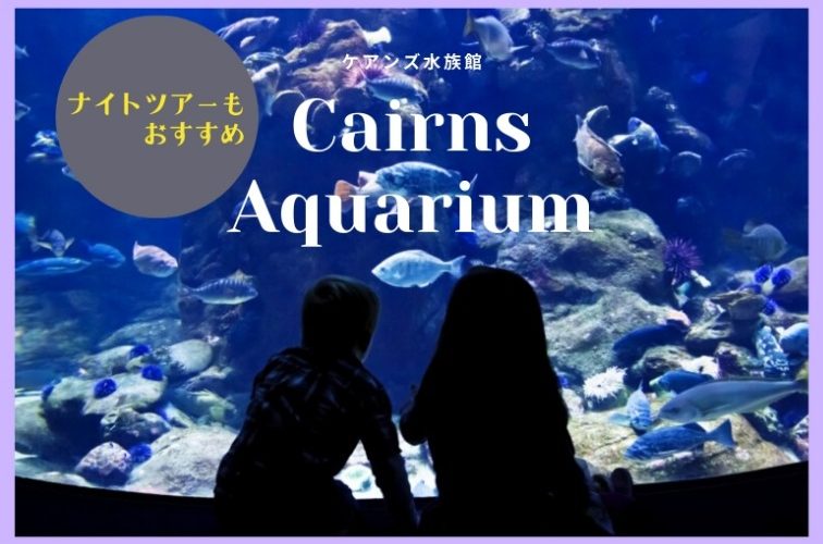 ケアンズ水族館／イメージ