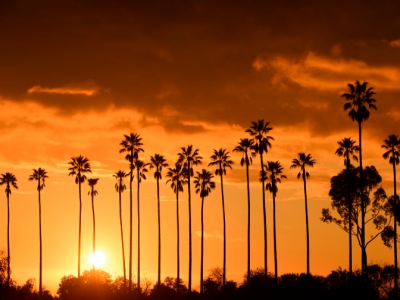 ロサンゼルス3×4