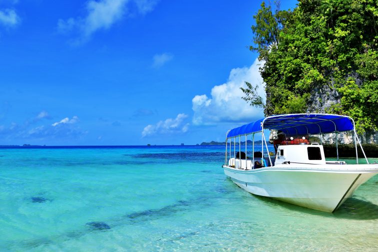 palau islandhopping tour