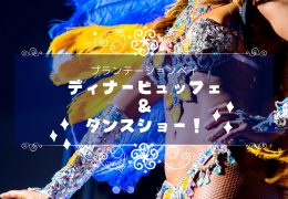 plantation bay dinner performance banner