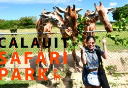 Calauit Safari tour