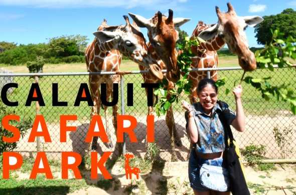 Calauit Safari tour