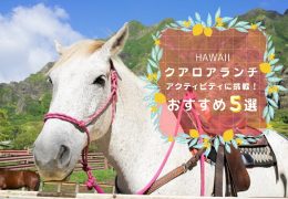 HAWAII 5 activities_