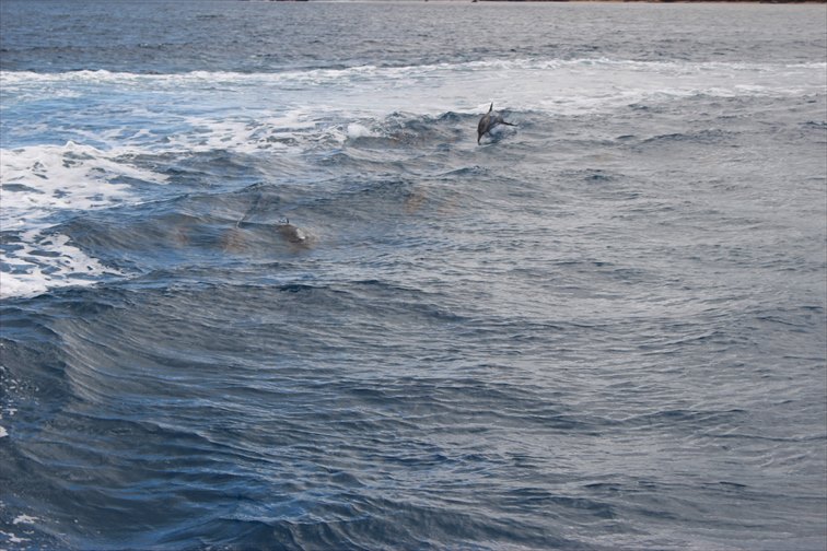 グアムの海