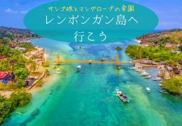 サンゴ礁とマングローブの楽園 レンボンガン島へ 行こう