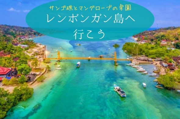 サンゴ礁とマングローブの楽園 レンボンガン島へ 行こう