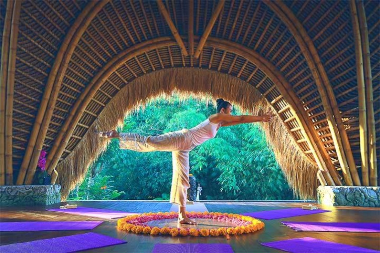 プラマナ　yoga