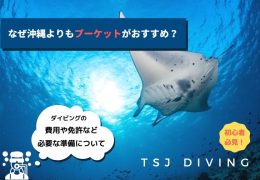 【TSJダイビング】なぜ沖縄よりもプーケットがおすすめ?【初心者必見!】気になる費用や免許など必要な準備について 【TSJダイビング】なぜ沖縄よりもプーケットがおすすめ?【初心者必見!】気になる費用や免許など必要な準備について