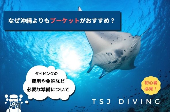 【TSJダイビング】なぜ沖縄よりもプーケットがおすすめ？【初心者必見！】気になる費用や免許など必要な準備について