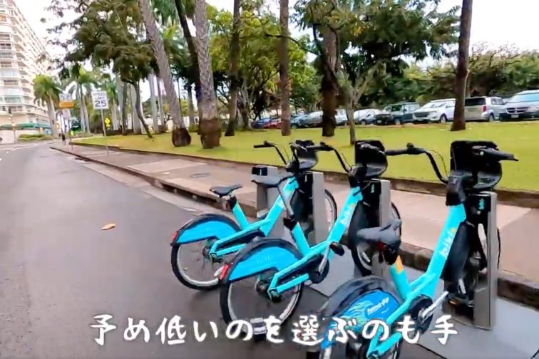 Hawaii BIKI203