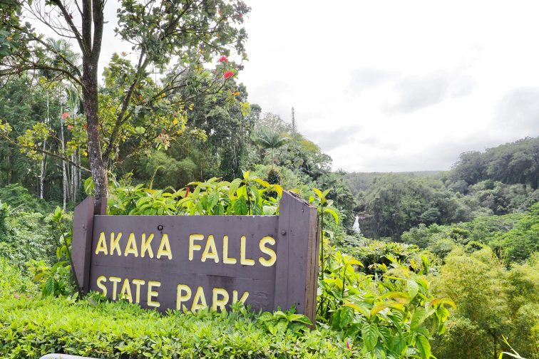 アカカの滝に到着！Hawaii