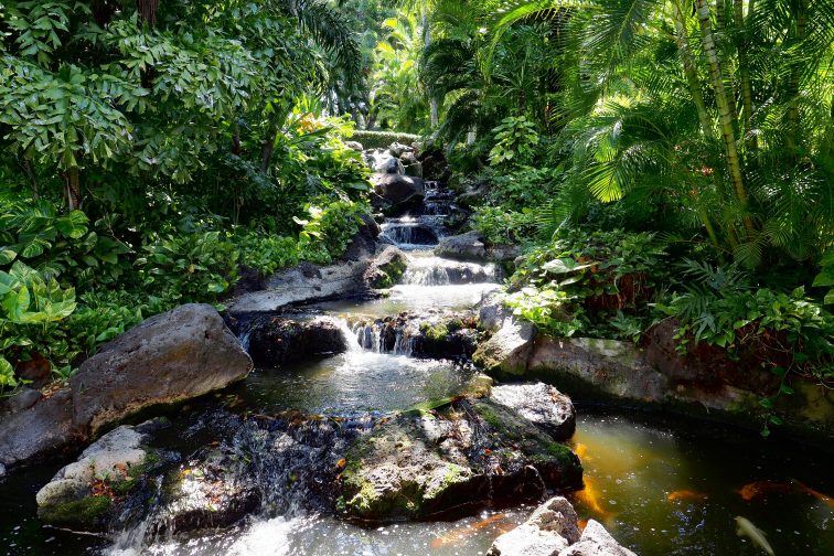 akaka falls hawaii