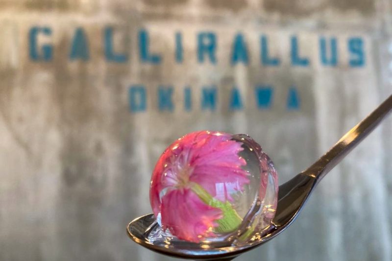 沖縄でインスタ映えのカフェ巡り 那覇市内のおすすめグルメスポット15選 トラベルスタンダードジャパン