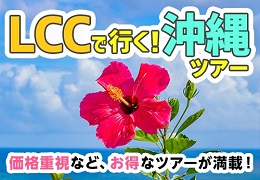 LCCで行く！沖縄本島ツアー