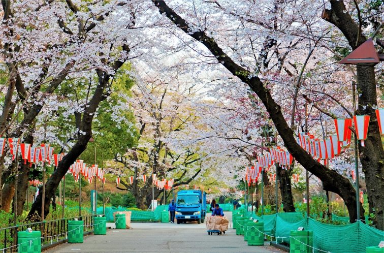 東京 お花見 上野公園