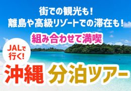 沖縄・分泊ツアー 画像 沖縄・分泊ツアー 画像