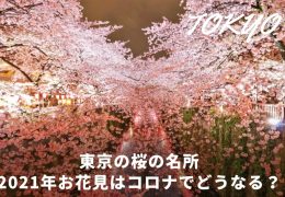 東京 お花見スポット 2021